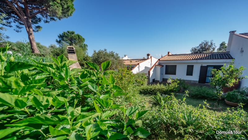 Appartamenti, Ville e Case vacanze a Costa Rei. Domus & Tour - Villa Nicola